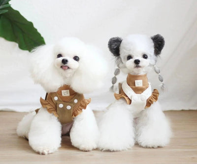 Styling Your Toy Poodle: The Best Clothes for Your Miniature Pup - Bags to Bones